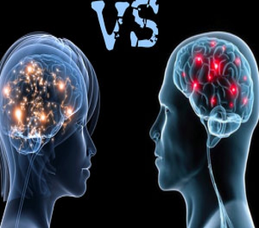 مقایسه اندازه مغز زنان و مردان/ خانمها باهوشترند یا آقایان؟
