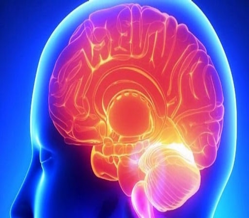 یافته های پزشکی نشان می دهد؛ شاخص توده بدنی بالا برای مغز مضر است