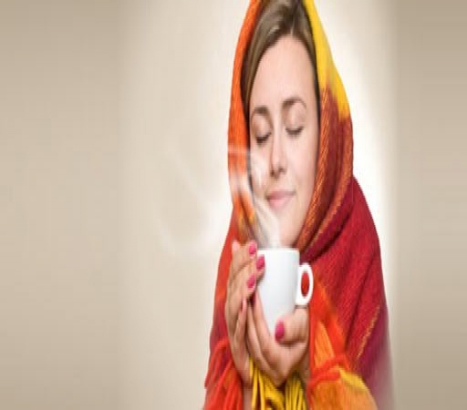 ترکیب رژیم غذایی مناسب و رعایت بهداشت مهمترین اصول برای پیشگیری از آنفلوآنزا