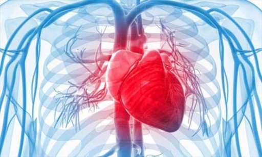 بیماری‌های قلبی شایع‌ترین علت مرگ و میر در ایران و جهان/ فشار خون هیچ علائمی ندارد