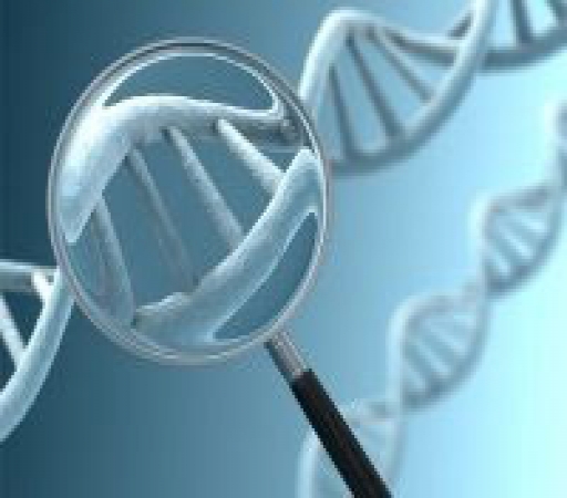 کشف ژن جدید مرتبط با آلزایمر