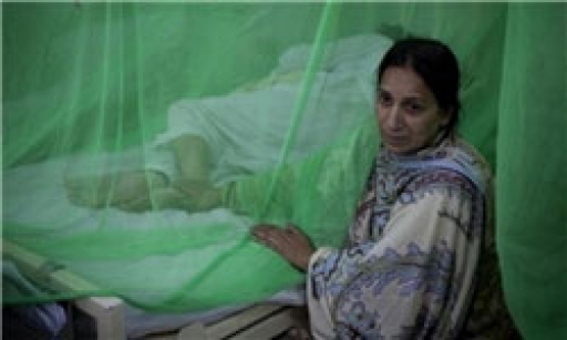 شیوع بیماری تب کنگو در پاکستان؛ صادرات دام متوقف شد