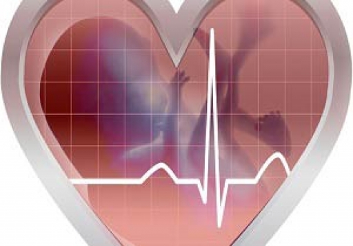 کشفی جالب در مورد ضربان قلب جنین