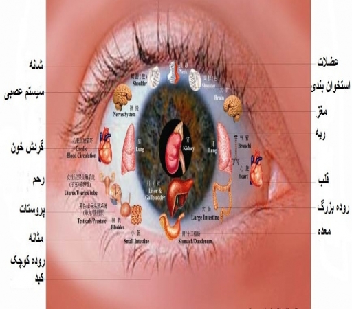 تشخیص چشمی بیماری