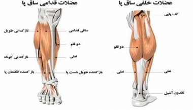 درد در قسمت قدامی پا